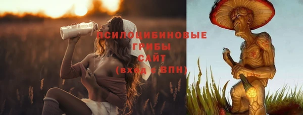 герыч Пестово