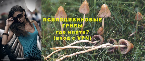 прущая мука Арсеньев