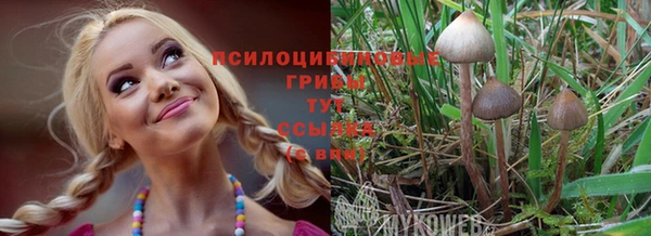 прущая мука Арсеньев